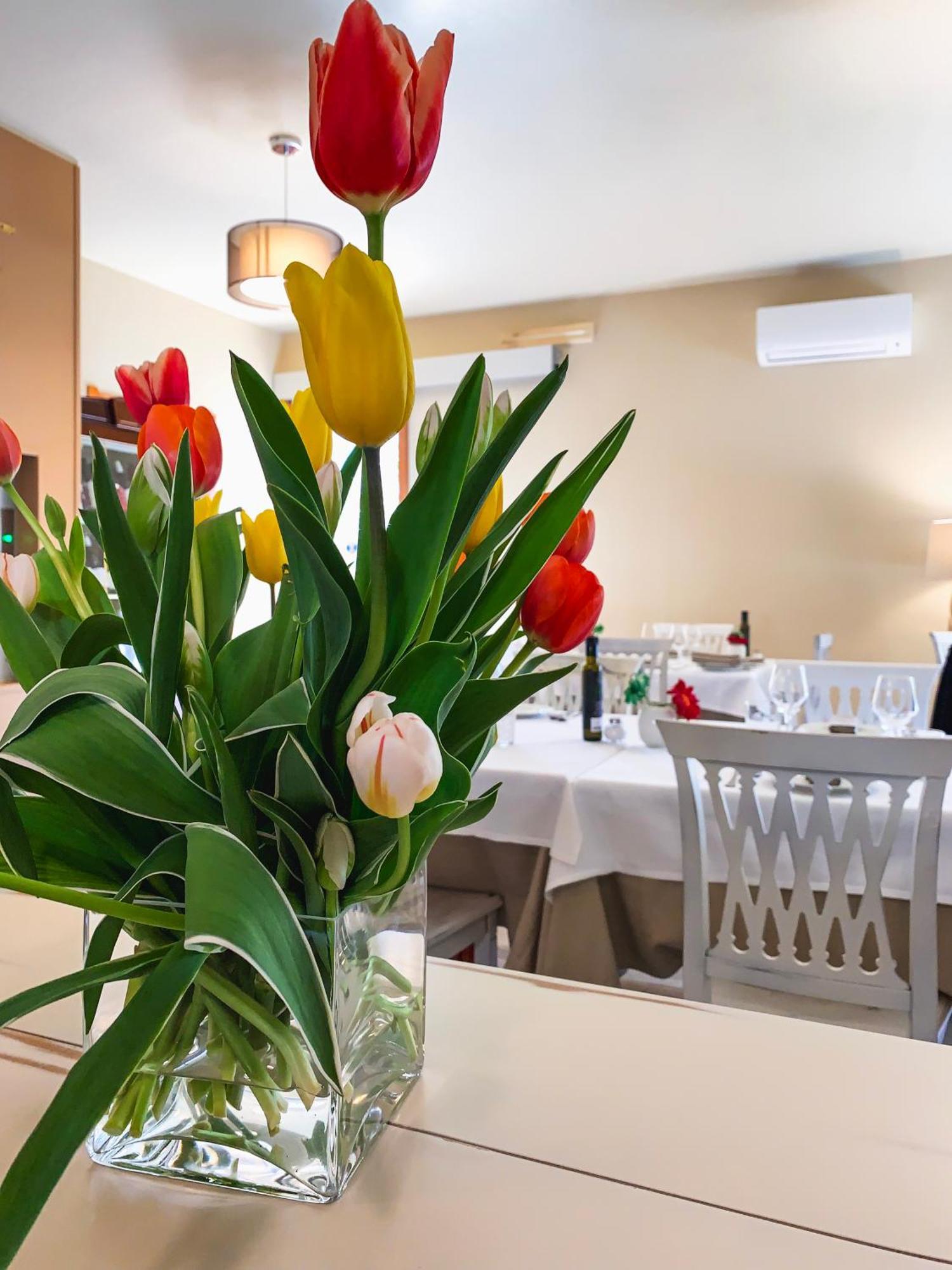 פוסאדה Hotel Donatella מראה חיצוני תמונה